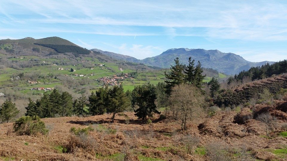 11059344_908609292504454_3055014490361008767_n